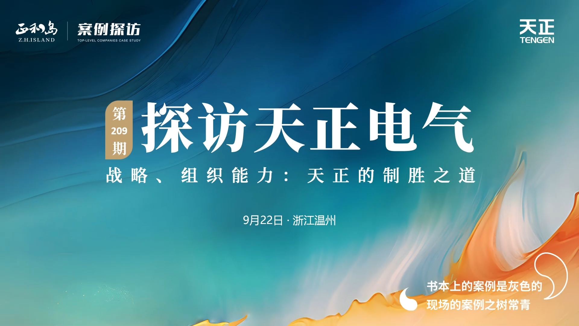 正和岛走进糖心官网入口vlog在线观看免费，探访制胜之道